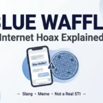 Blue Waffles Slang What Does “Blue Waffle” Mean Online