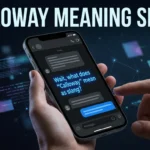 Calloway Meaning Slang What Does Calloway Mean