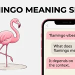 Flamingo Meaning Slang What Does It Mean in Text