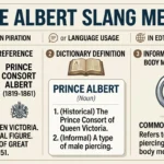 Prince Albert Slang Meaning What It Means and How It’s Used