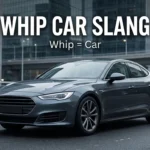 Whip Car Slang What “Whip” Means When Talking About Cars