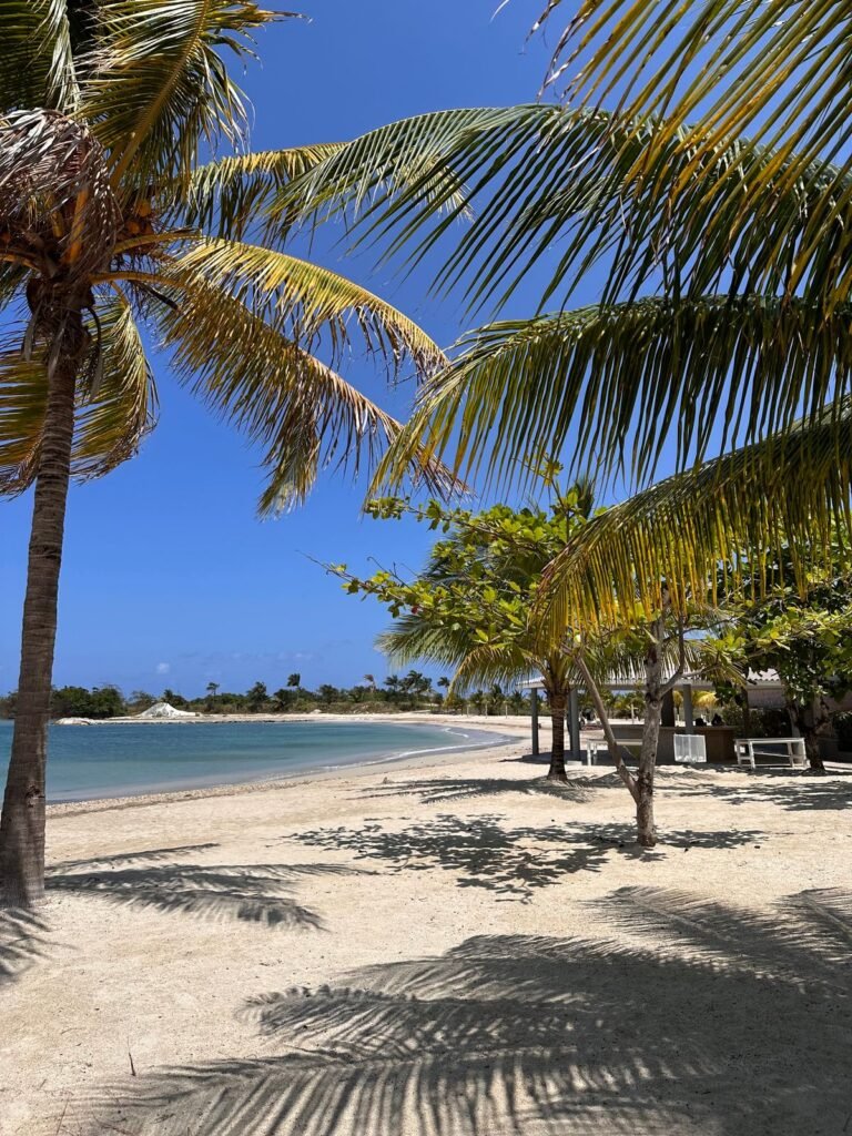 Tropical beach in Jamaica with palm trees and clear blue water